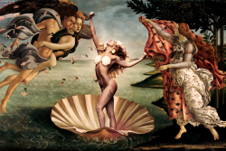 The Birth Of Venus 