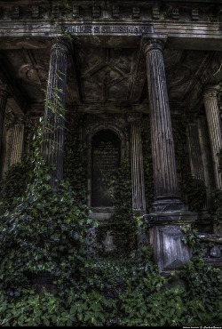 queenmoriarty:and into the forest i go to lose my mind and find my soul