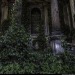 queenmoriarty:and into the forest i go to lose my mind and find my soul