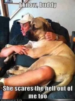 13lolcats:  Jeremy and our mastiff, Hank.