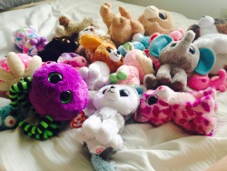 Coral-Wbu:  I Love Beanie Boos ❤️ 