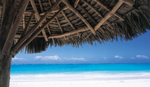 The 5* Bluebay Beach Resort and Spa, Zanzibar.Ahhhhhhhhh.