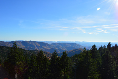 Blue Ridge Parkway // NC // 2015 DSC_1534 by Hannah R