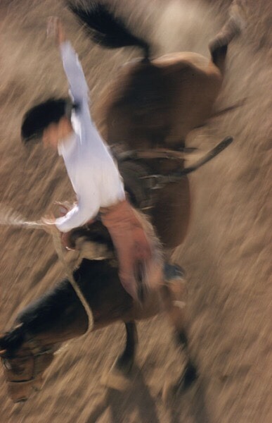 peterboyden:  Ernst haas