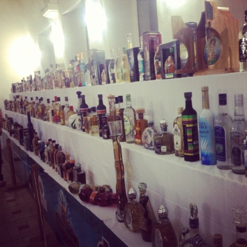 asaldh:   Feria del Tequila 2013, Tlaquepaque, Jalisco. 