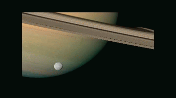 astrowhat:Cassini’s Saturn flyby. Saturn is just ridiculously good-looking.