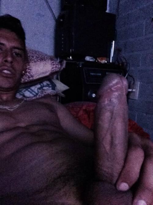 Gayblog latinos