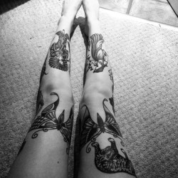 xxx tumblr