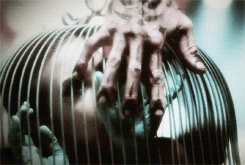 ahshotelgifs:  American Horror Story: Freak Show Teasers #1-5 