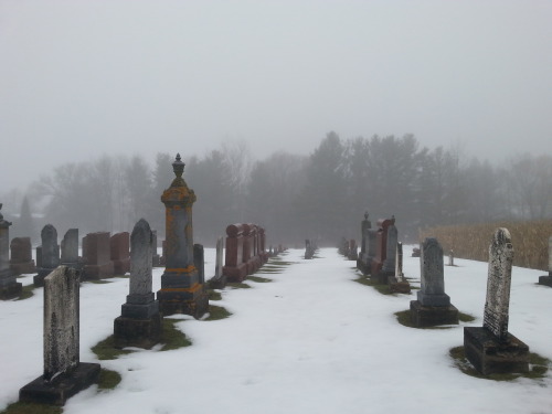 the13thraven:Today was such a delightfully gloomy day, perfect for a morning stroll through the cemetery.