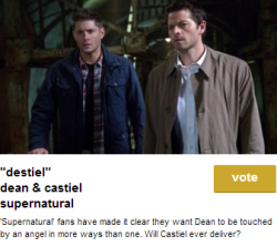 winchesterspiehole:  Go vote for Destiel for Ship of the Year on MTV U Fandom Awards Vote now!! 