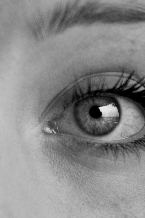 I see humans, but no humanity