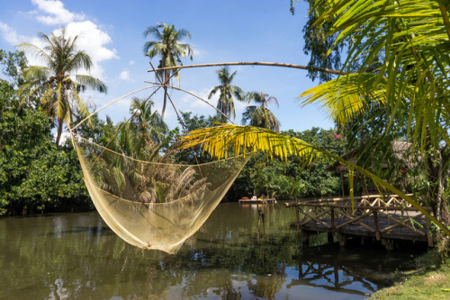 Traditional fishing method, seen on an Island in Saigon.