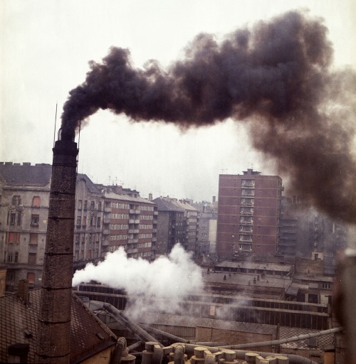 scavengedluxury: Parquet Factory,  Kárpát  street, budapest, 1972.  From the Budapest Municipal Photography Company archive. 