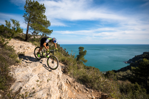 aces5050:  (via Cannondale Launches New-and-Improved Scalpel XC Race Bike | Singletracks Mountain Bi