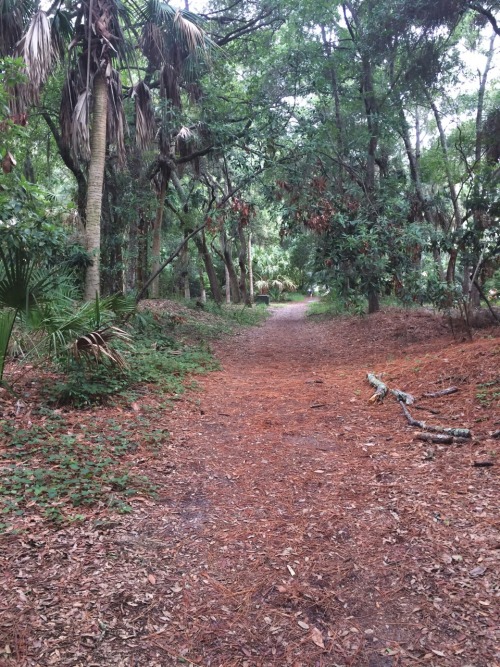 [Hilton Head, SC] Path to the beach