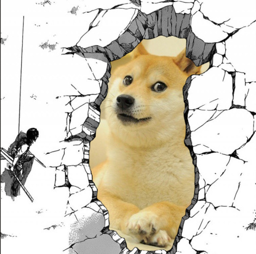 (づ｡◕‿‿◕｡)づ・。*。✧・゜゜