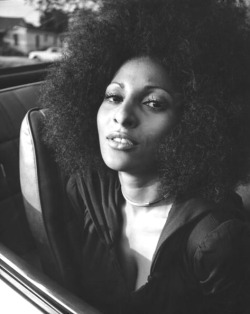 trash-fuckyou:  PAM GRIER 