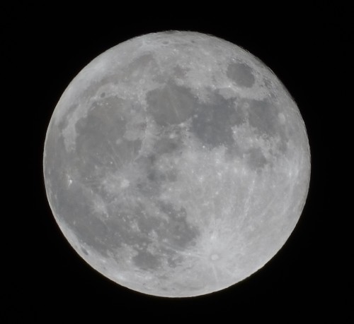 Full Hunter Moon over Forsythia Hill Moonrise Wednesday Oct 20 10 pm and Moonset Thursday Oct 21 5 a