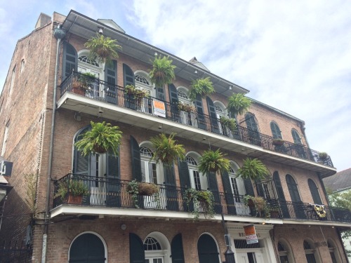 XXX mykoreanapartment:  Shots of New Orleans photo