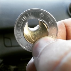 imapilot:  My Loonie hit at 100yds. I have never been so proud as when I made this shot… Goal was to not hit silver. #gunnutz #guns #gunporn #gun #gunnutz #Canada #firearms #marksman #shooting 