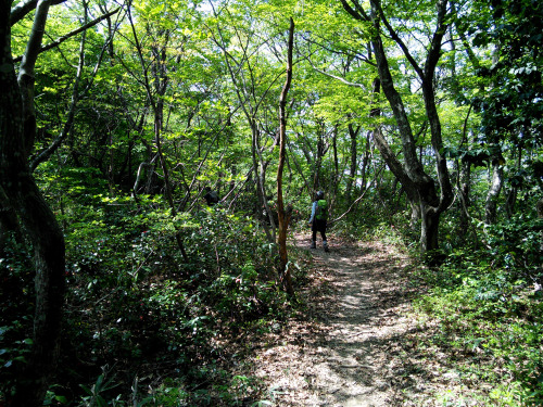 富士写ヶ岳（Mt.fujishagatake、標高941.9m）20150429福井県と石川県の県境にある富士写ヶ岳に登ってきました。山頂は石川県です。登山道は、枯淵コース、我谷コース、福井の丸岡から