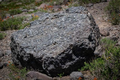 That is a nice boulderThis boulder is a piece of the Steens Basalt, a portion of the igneous rocks p