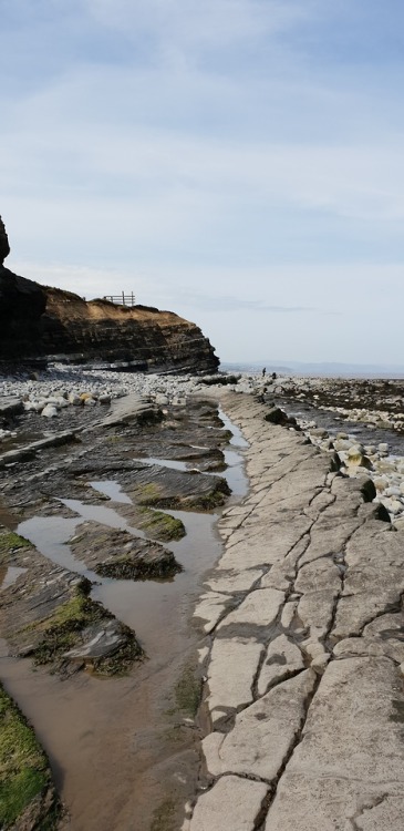 geologicaltravels:2018: Folding and faulting in the early Jurassic Blue Lias Formation, near Kilve, 