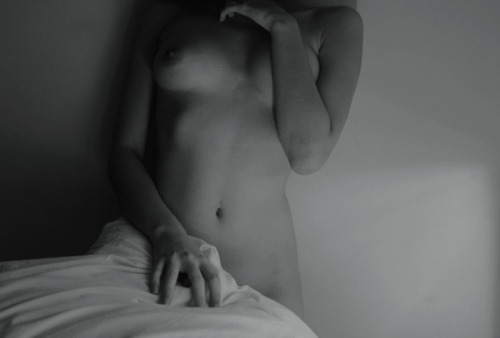 troisdumatin:  morning shadows 