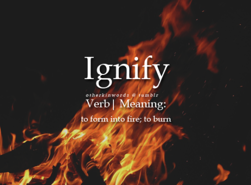 otherkinwords:  Ignifyverb | to form into fire; to burn