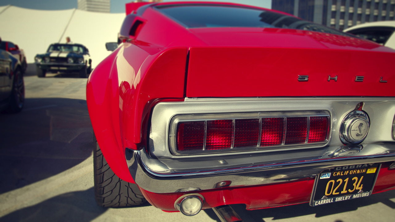 yessir-youarefat:  Shelby GT500 widebody Carroll Shelby Cruisein, Petersen Automotive
