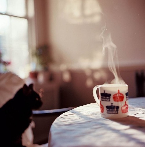 oldfarmhouse: GoodMorning Everyone