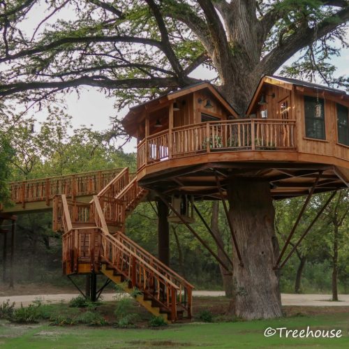 Tiny-House-Town:  A Treehouse For Book Lovers