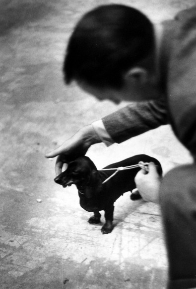 birdemetutopya:Ruth Orkin