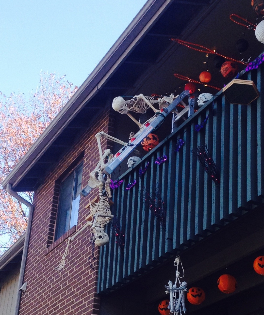 The most incompetent recon team in the skeleton wars are camped out at my neighbor&rsquo;s