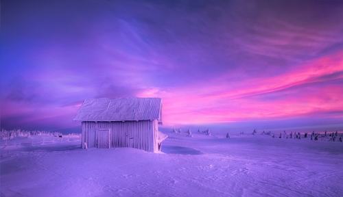 drxgonfly: Winter Dream (by Jørn Allan Pedersen)