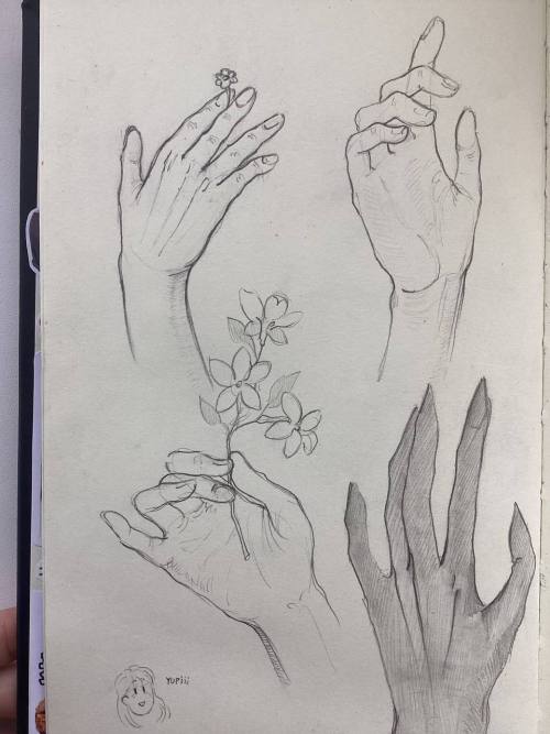 Hands Practice!