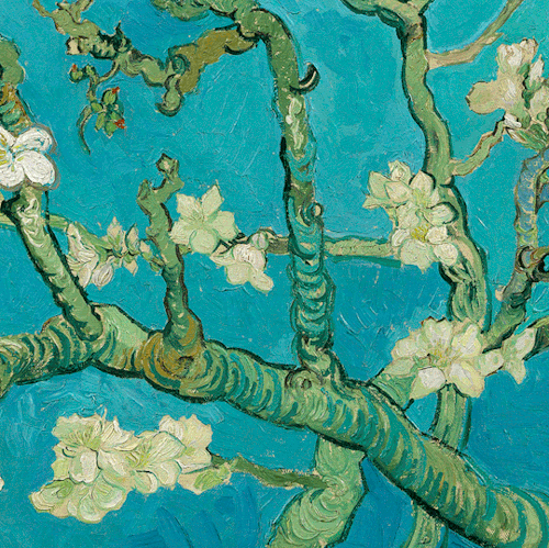 goodreadss:Almond Blossom   by Vincent van Gogh