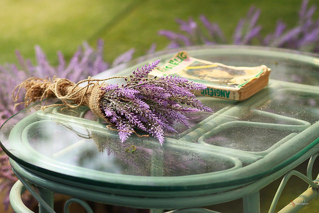 floralls:     by  Jane Ha    