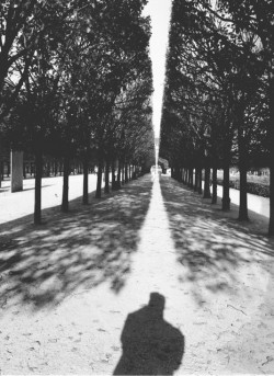 gypsji:  Stanko Abadžic - Trees and Shadows