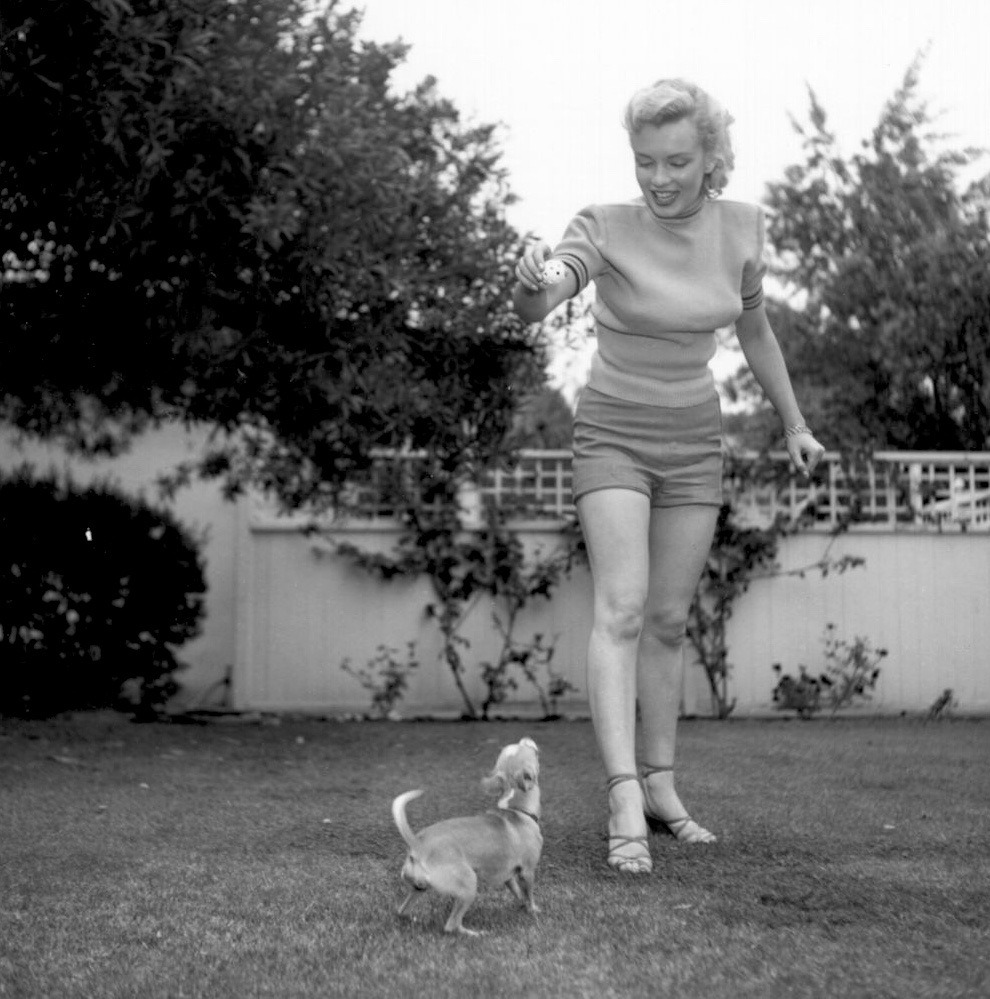 weirdlandtv:  Marilyn Monroe in May 1950, in the backyard of Johnny Hyde, the Hollywood