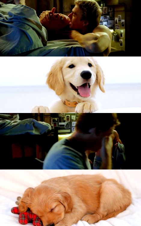 warsandwincest:They are like a pair of Golden Retriever puppies and nothing you can say will convinc