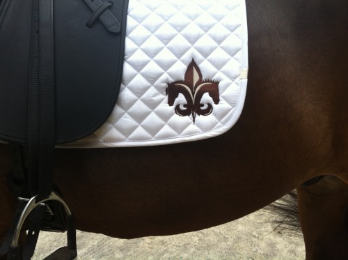 equestrienne-ffit:There’s that stunning logo again…