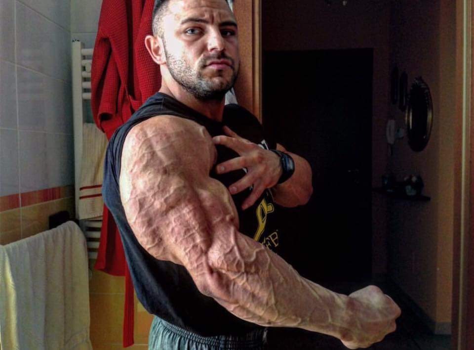 Daniel Sticco