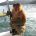 hungwy:vampireapologist-archive-deacti:hungwy:Being in the ocean is scary (not a