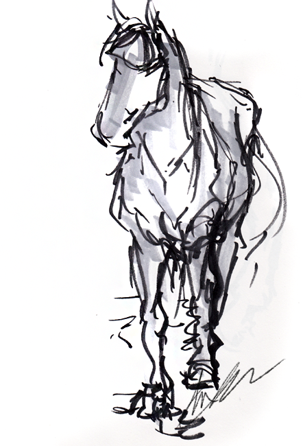 last horsey drawing woo