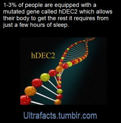 ultrafacts:  Source: [x] Follow Ultrafacts