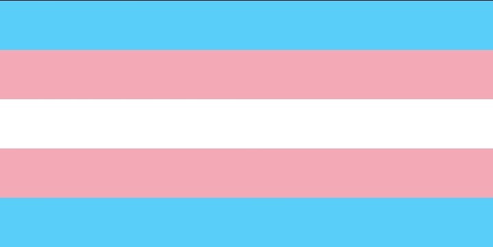 saintsofchicago:His name was Zander.Her name was LeelahTrans lives matter.