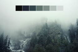 naturalpalettes:  Photos by David Yoo