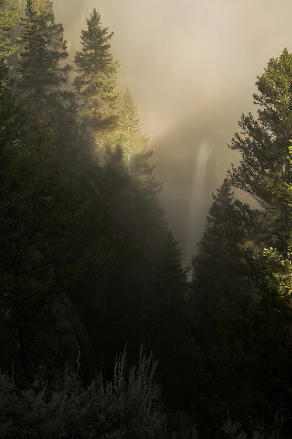 btruono:  Tower in the Clouds